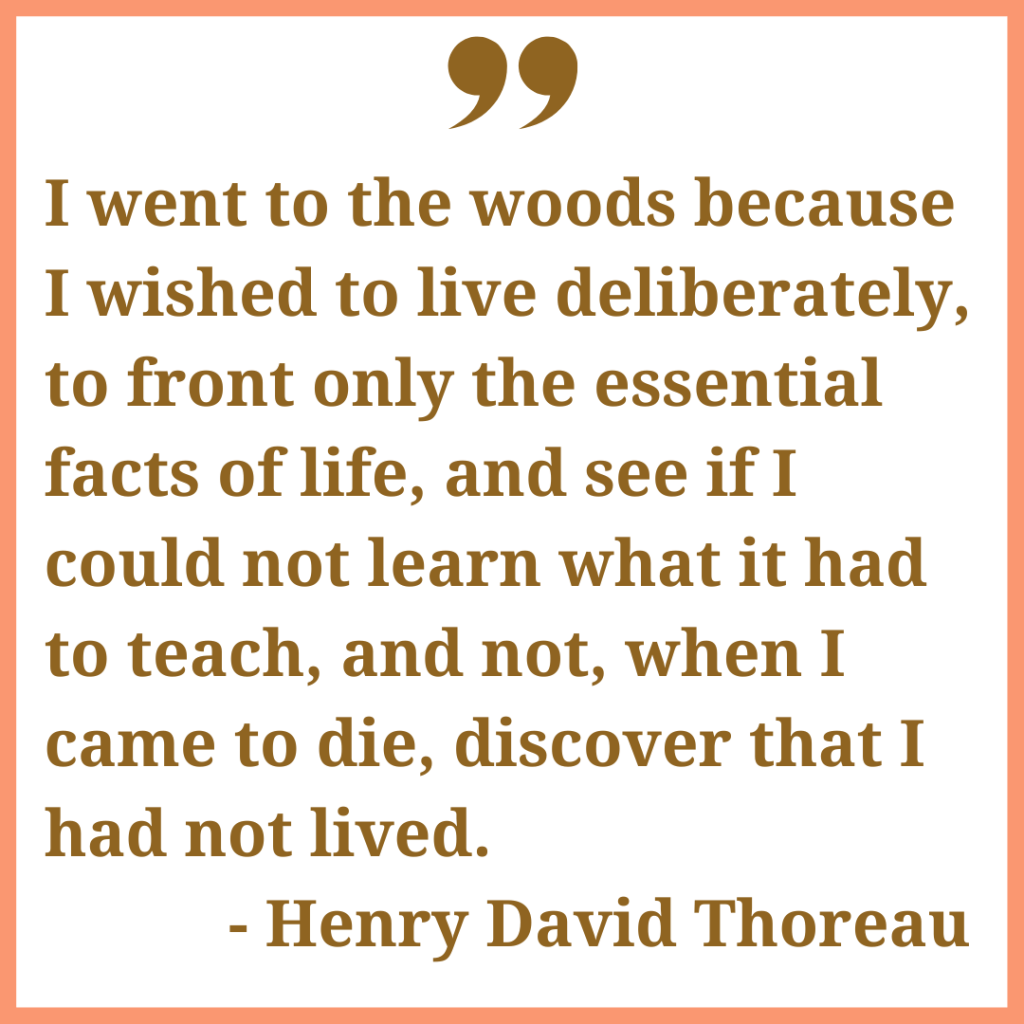 Teaching Transcendentalism Thematically: A Fresh Approach for Your High  School English Class – Around the World With Mrs. C, image size:1024x1024